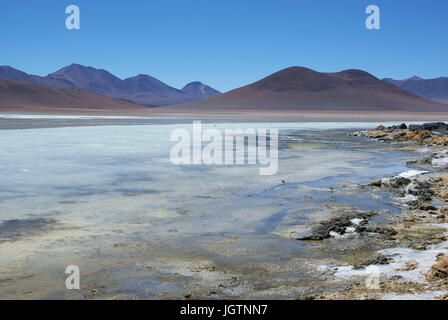 Laguna Blanca, riserve nazionali di fauna Andina Eduardo Abaroa, deserto di Lipez, dipartimento di Potosi, Sud Lipez Provincia, La Paz, Bolívia Foto Stock