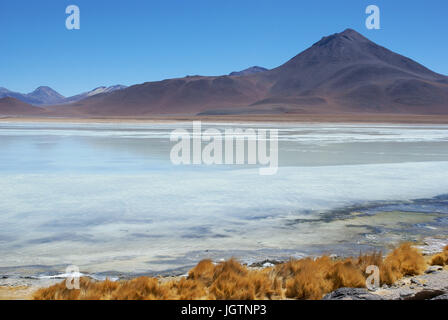 Laguna Blanca, riserve nazionali di fauna Andina Eduardo Abaroa, deserto di Lipez, dipartimento di Potosi, Sud Lipez Provincia, La Paz, Bolívia Foto Stock