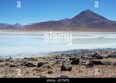 Laguna Blanca, riserve nazionali di fauna Andina Eduardo Abaroa, deserto di Lipez, dipartimento di Potosi, Sud Lipez Provincia, La Paz, Bolívia Foto Stock