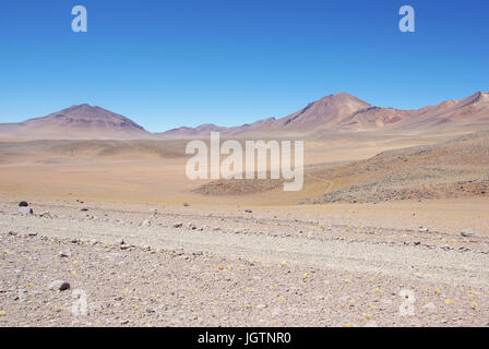 Deserto di di vi, riserve nazionali di fauna Andina Eduardo Abaroa, deserto di Lipez, dipartimento di Potosi, Sud Lipez Provincia, La Paz, Bolívia Foto Stock