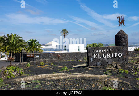 Bodega El Grifo con annesso museo del vino, vigneto presso La Geria, Lanzarote, Isole canarie, Spagna, Europa Foto Stock