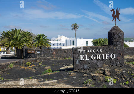 Bodega El Grifo con annesso museo del vino, vigneto presso La Geria, Lanzarote, Isole canarie, Spagna, Europa Foto Stock