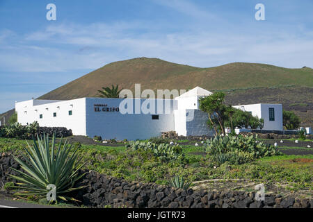 Bodega El Grifo con annesso museo del vino, vigneto presso La Geria, Lanzarote, Isole canarie, Spagna, Europa Foto Stock