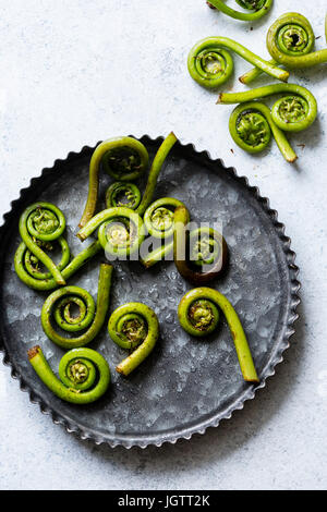 Fiddlehead ferns in padella Foto Stock