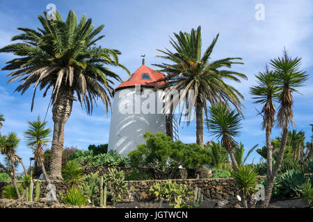 Mulino a vento nell'agricoltura Museo Agrícola El Patio, Tiagua, provincia Teguise, Lanzarote, Isole Canarie, Europa Foto Stock