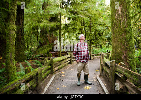 MacMillan Provincial Park è un parco provinciale vicino a Port Alberni sull isola di Vancouver in British Columbia, Canada. Foto Stock