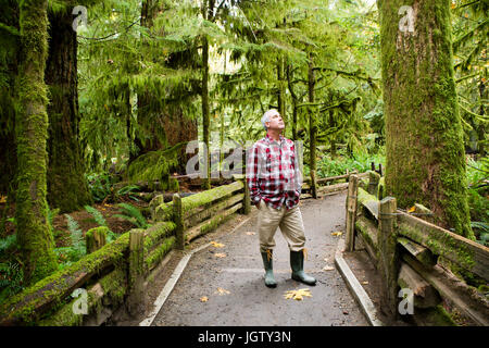 MacMillan Provincial Park è un parco provinciale vicino a Port Alberni sull isola di Vancouver in British Columbia, Canada. Foto Stock