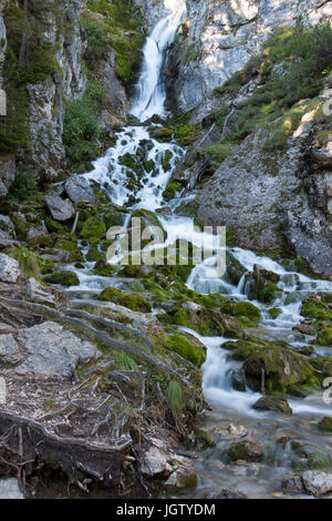 Trentino Alto Adige Italia cascate di Vallesinella all'interno del Parco Naturale Adamello Brenta Foto Stock