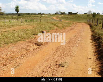 Strada sterrata, Pantanal, Mato Grosso do Sul, Brasile Foto Stock