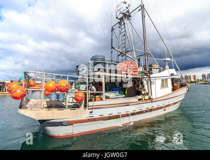 La pesca commerciale barca Nordic Rand off Isola di Vancouver, BC, Canada, la pesca di gamberetti (come i gamberi ma più grande). Foto Stock