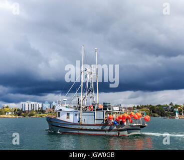 La pesca commerciale barca Nordic Rand off Isola di Vancouver, BC, Canada, la pesca di gamberetti (come i gamberi ma più grande). Foto Stock