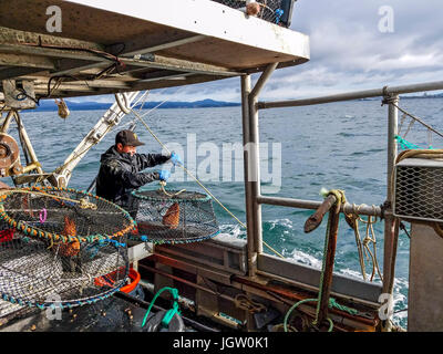 La pesca commerciale barca Nordic Rand off Isola di Vancouver, BC, Canada, la pesca di gamberetti (come i gamberi ma più grande). Ricaricamento di trappole sul palangaro. Il Foto Stock