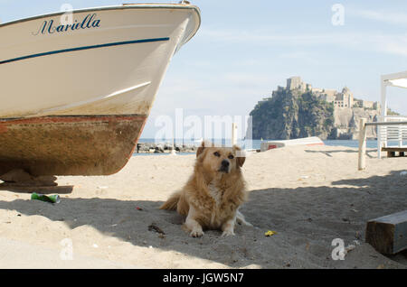 La vita sull'isola di Ischia, Golfo di Napoli. Foto Stock