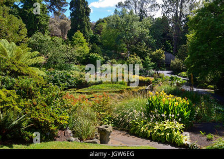 Lily Pond in the Royal Tasmanian Botanical Gardens a Hobart, in Tasmania, Australia Foto Stock