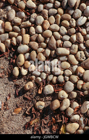 Close-up di percorso o la copertura del terreno composto da uno strato di folle colorate di ciottoli con poche foglie secche tra di essi e il suolo in basso a sinistra. Foto Stock