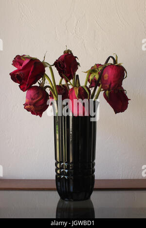 Tall verde scuro vaso di vetro con 8 SAD-cercando trascurato wilting, depressione rose rosse nella finestra luce contro una pianura color crema parete; copia spazio. Foto Stock