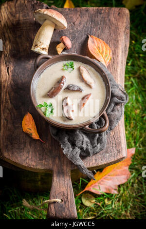 Una deliziosa zuppa di funghi fatta di nobili di funghi Foto Stock