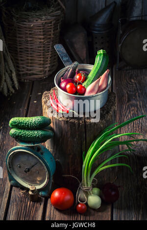 Vecchia cantina con forniture fatte in casa per l'inverno Foto Stock