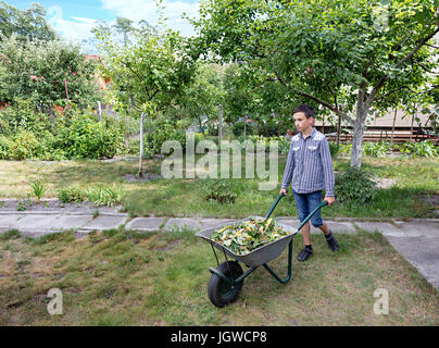 Un giovane uomo tiene lontano caduta foglie nel giardino in un giardino carriola Foto Stock