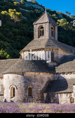 Abbaye de Sénanque, Gordes, Vaucluse Francia 84 Foto Stock