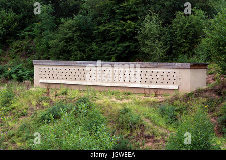 Artificiale sito di nidificazione per la sabbia Martins, Ryton Piscine, Warwickshire, Inghilterra, Regno Unito Foto Stock