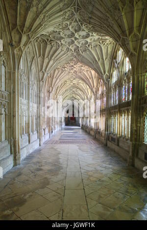 La cattedrale di Gloucester (St Peter's Abbey, Gloucester), Gloucestershire, chiostro, Est a piedi a nord Foto Stock