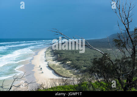 75 Mile beach visto da Indian Head. Isola di Fraser, Queensland, Australia Foto Stock