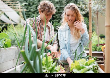 Giovane uomo e donna cura delle piante in trogoli di legno Foto Stock