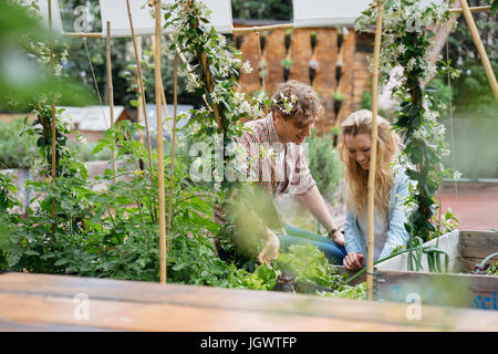 Giovane uomo e donna tendente a piante che crescono in lattine in giardino urbano Foto Stock