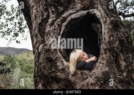 Giovane ragazzo in cavità di alberi, dormendo Foto Stock