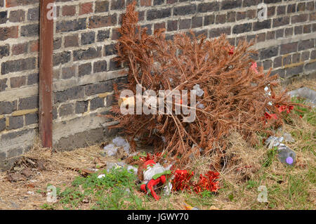 Scartato albero di Natale Foto Stock