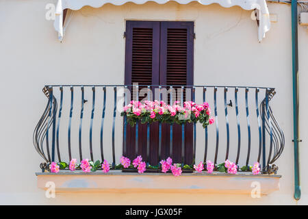 Decorazioni floreali in Alghero Foto Stock