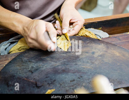 Primo piano delle mani rendendo il sigaro da foglie di tabacco. Produzione tradizionale di sigari. Repubblica Dominicana. Foto Stock