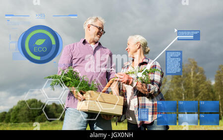 Coppia senior con scatola di carote in agriturismo Foto Stock