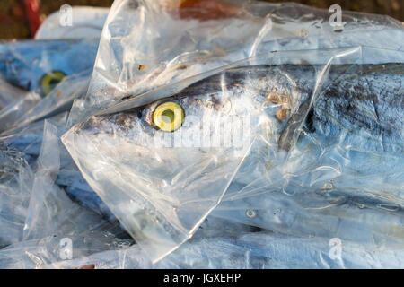 Nastro di fresco pesce sul ghiaccio al mercato Foto Stock