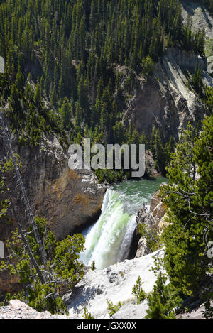 Upper Falls su Yellowstone River. Le cascate, appena a sud del villaggio di Canyon, sono 109 piedi alta. Foto Stock