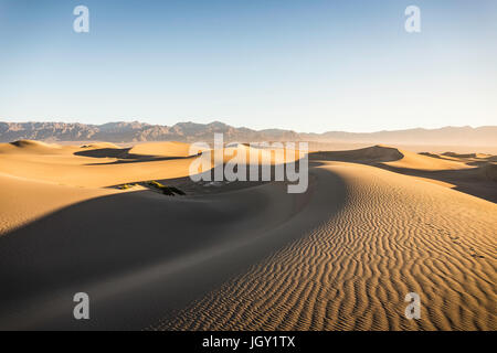 Increspata Mesquite Flat dune di sabbia nel Parco Nazionale della Valle della Morte, CALIFORNIA, STATI UNITI D'AMERICA Foto Stock