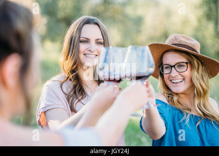 Amici facendo un toast sorridente, Firenze, Toscana, Italia, Europa Foto Stock