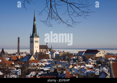 Tallinn, Estonia: inferiore della città (All-Linn) dal punto di vista Kohtuotsa in Toompea con san dell'Olaf torre della chiesa, (Oleviste Kirik), a dominare la scena Foto Stock