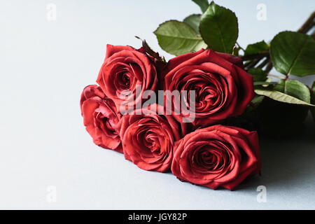 Rose rosse, un bouqet su sfondo azzurro. Foto Stock