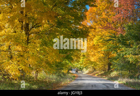 Variopinto scenario autunnale con fogliame brillante di un paesaggio montano a Manchester, Vermont. Foto Stock