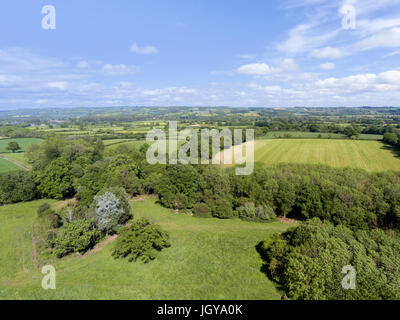 Vista aerea dei campi di coltivazione, verdi pascoli, prati su un bordo del bosco, in un inglese un paesaggio rurale, Cotswolds, su una soleggiata giornata estiva. Foto Stock