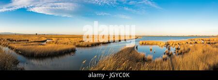 Delta de l'Ebre scenario. Vista rurale a Delta de l'Ebre. Campo di riso, Fiume Ebro paesaggio, Catalogna, Spagna Foto Stock