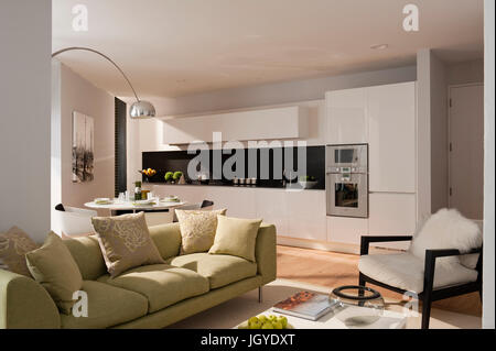 Salotto a pianta aperta e una cucina con divano verde Foto Stock