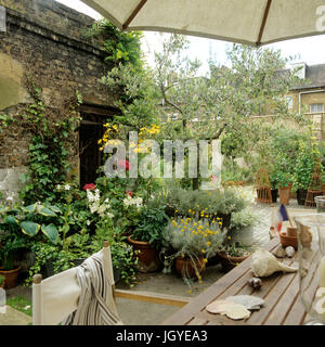 Cortile con piante in vaso Foto Stock