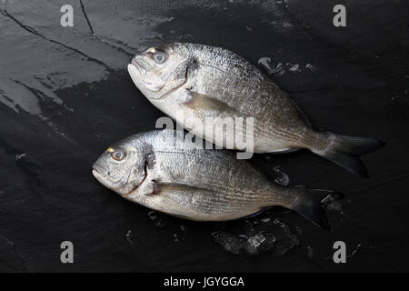 Crudo fresco Orate di mare Pesce al rock Foto Stock