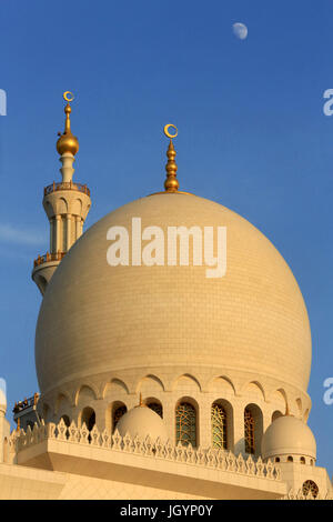 Cupola. Moschea Sheikh Zayed. 1995. Emirato di Abu Dhabi. Foto Stock