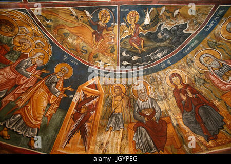 Panagia tis Asinou chiesa bizantina. Affreschi. Cipro. Foto Stock