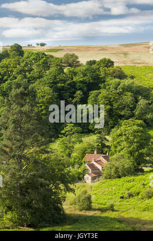 Il telecomando e il bellissimo borgo di Darnholme vicino a Goathland fotografato a metà estate Foto Stock