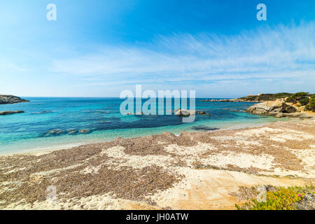 Cala Caterina litorale in primavera Foto Stock